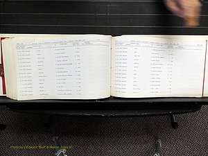 Alamance Co, NC, Marriages, N-R, 1868-1961 (357).JPG