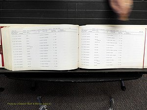 Alamance Co, NC, Marriages, N-R, 1868-1961 (358).JPG