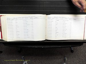 Alamance Co, NC, Marriages, N-R, 1868-1961 (359).JPG