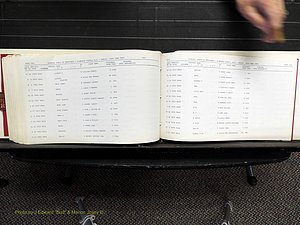 Alamance Co, NC, Marriages, N-R, 1868-1961 (366).JPG