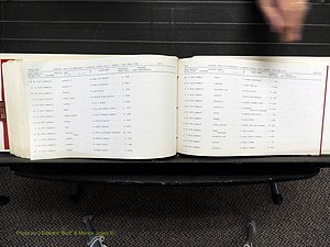 Alamance Co, NC, Marriages, N-R, 1868-1961 (377).JPG