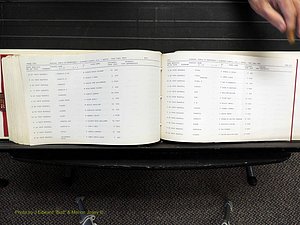 Alamance Co, NC, Marriages, N-R, 1868-1961 (380).JPG