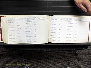 Alamance Co, NC, Marriages, N-R, 1868-1961 (382).JPG