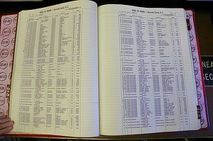 Bun. Co, NC, Births 1880 - 1988, C - D, pg (040).JPG