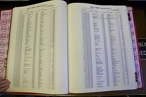 Bun. Co, NC, Births 1880 - 1988, C - D, pg (043).JPG