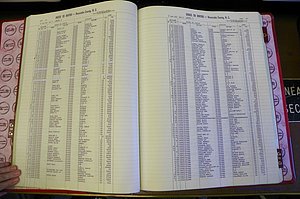 Bun. Co, NC, Births 1880 - 1988, C - D, pg (044).JPG
