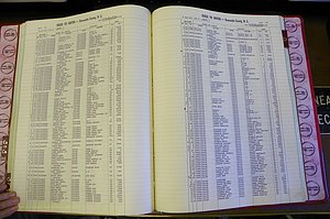 Bun. Co, NC, Births 1880 - 1988, C - D, pg (091).JPG