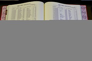 Bun. Co, NC, Births 1880 - 1988, L to M, pg (123).JPG