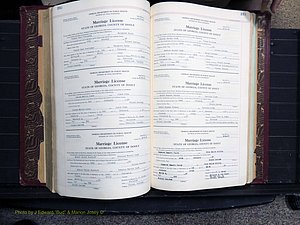 Dooly Co, GA, Marriages, Book, I, 1944-1972 pg 332-333.JPG