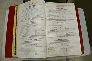 Emanuel Co, GA, Marriages Book L, 1952 - 1962, P 018-019.JPG