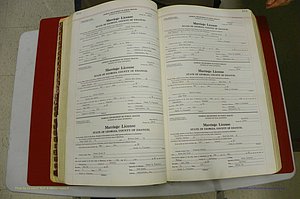 Emanuel Co, GA, Marriages Book L, 1952 - 1962, P 102-103.JPG