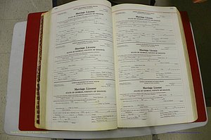 Emanuel Co, GA, Marriages Book L, 1952 - 1962, P 130-131.JPG