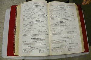 Emanuel Co, GA, Marriages Book L, 1952 - 1962, P 202-203.JPG