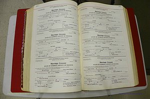 Emanuel Co, GA, Marriages Book L, 1952 - 1962, P 254-255.JPG