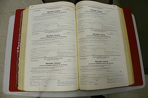 Emanuel Co, GA, Marriages Book L, 1952 - 1962, P 356-357.JPG