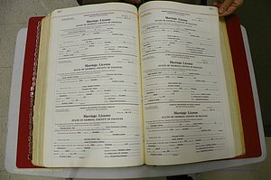 Emanuel Co, GA, Marriages Book L, 1952 - 1962, P 380-381.JPG