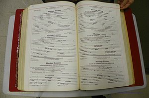Emanuel Co, GA, Marriages Book L, 1952 - 1962, P 382-383.JPG