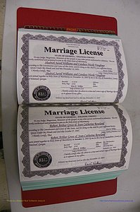 Emanuel Co, GA, Marriages Book S, 2003 - 2006, P 102-103.JPG