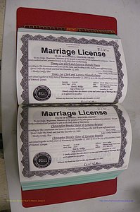 Emanuel Co, GA, Marriages Book S, 2003 - 2006, P 118-119.JPG
