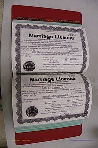 Emanuel Co, GA, Marriages Book S, 2003 - 2006, P 132-133.JPG