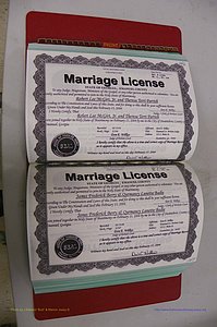 Emanuel Co, GA, Marriages Book S, 2003 - 2006, P 146-147.JPG