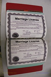 Emanuel Co, GA, Marriages Book S, 2003 - 2006, P 162-163.JPG