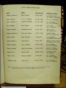 Halifax Co, NC, Marriage Bonds from 1817, 013.jpg