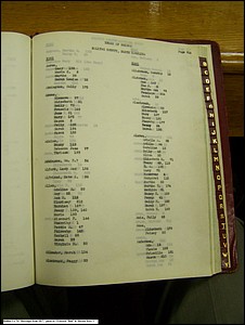 Index A-1, pg 216, Halifax Co, NC, Marriage Bonds from 1817 232.jpg