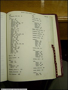 Index L-2, pg 240, Halifax Co, NC, Marriage Bonds from 1817 256.jpg