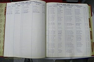 Henderson Co, NC, Births A - Z, 1982 - 1990, (006).JPG