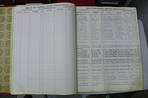 Henderson Co, NC, Births L - Z, 1943 - 1981, (034).JPG
