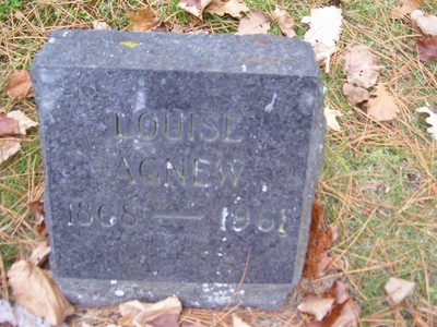 Agnew, Louisa Willis, Hilside Cemetery, Price Co, WI.jpg