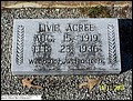 Acree, Livie, Red Oak Baptist Church Cem, Covington Co, AL.jpg