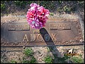 Adcox, John Franklin & Ima Loveeta Zylks, Cathedral Cem, Smith Co, TX.jpg