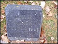 Agnew, Louisa Willis, Hilside Cemetery, Price Co, WI.jpg