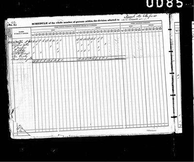 1840, Christiana Jossey Willis, Green Co GA.jpg