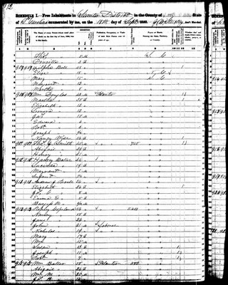 1850, Abigail Josey Smith, Sumter Co SC.jpg
