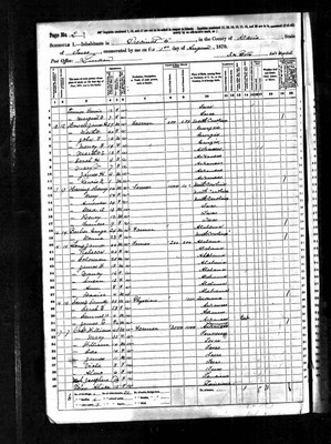 1870, Rebecca Josey Long, Davis Co TX.jpg