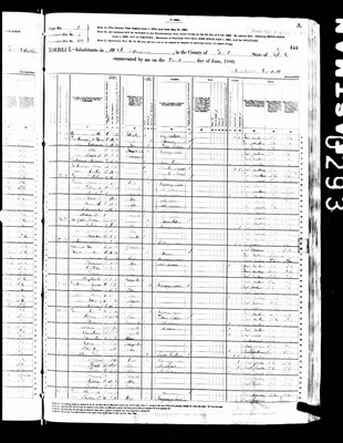1880, Alice Smith Josey, Sumter Co SC.jpg