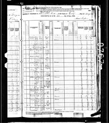 1880, Larkin S Josey, Dooly Co GA.jpg