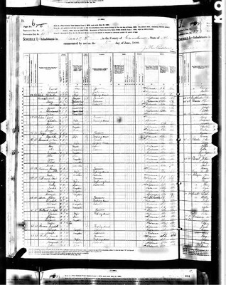 1880, Nancy A Josey Solomon Crenshaw Co AL.jpg