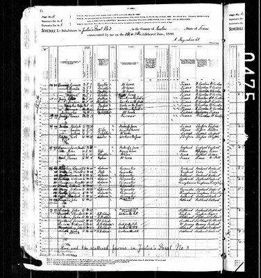 1880, Thomas Josey B, Austin Co TX.jpg