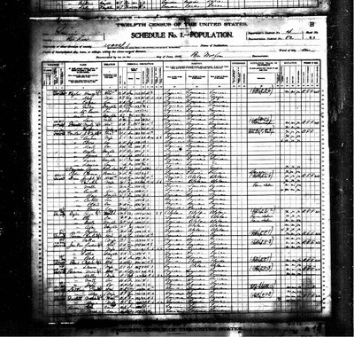 1900, Anna Josey Newman, Red River Parish LA.jpg