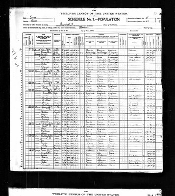 1900, Evander Travis Josey, Polk Co TX.jpg