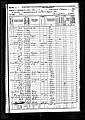 1870, Rowena Jossey Griffith, Lamar Co TX.jpg