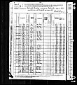 1880, Calvin Josey B, Darlington Co SC.jpg