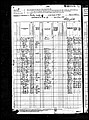 1880, Ivey Josey, Nye Co NV.jpg