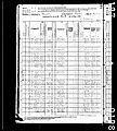 1880, Johanna Josey, Philadelphia Co PA.jpg
