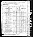 1880, Nancy Josey Feagin, Polk Co TX.jpg