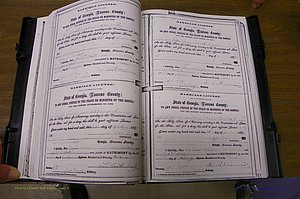 Laurens Co, GA, Marriages 1870 - 1879, P 116-117.JPG